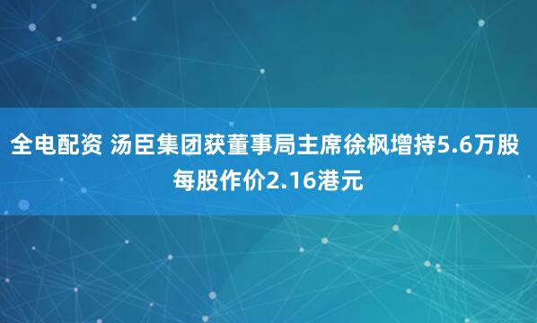 全电配资 汤臣集团获董事局主席徐枫增持5.6万股 每股作价2.16港元